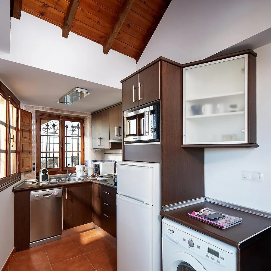Lodgingmalaga - Rosaleda Apartment Malaga